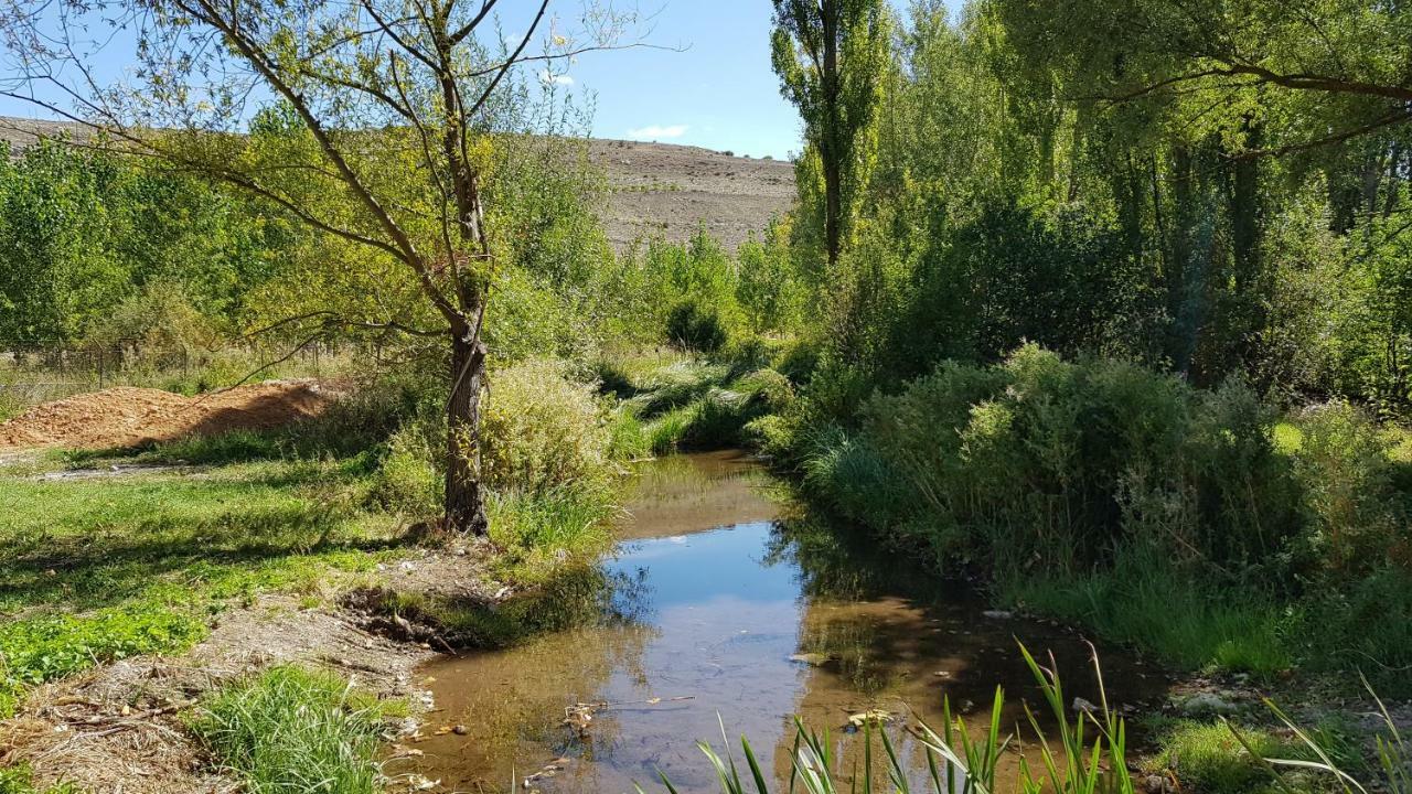 Casa Rural Los Yeros Aldeasona - Segovia Εξωτερικό φωτογραφία